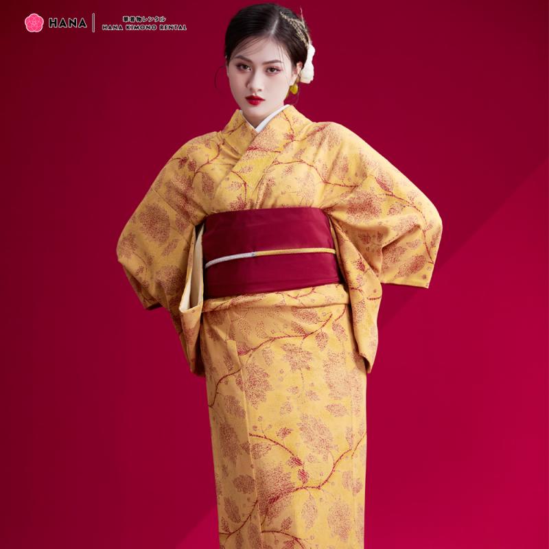 Mẫu Kimono Komon 04